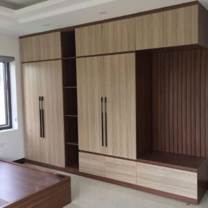 Mẫu tủ quần áo NHT24